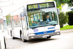 Bild SWEG-Bus bei Ihringen